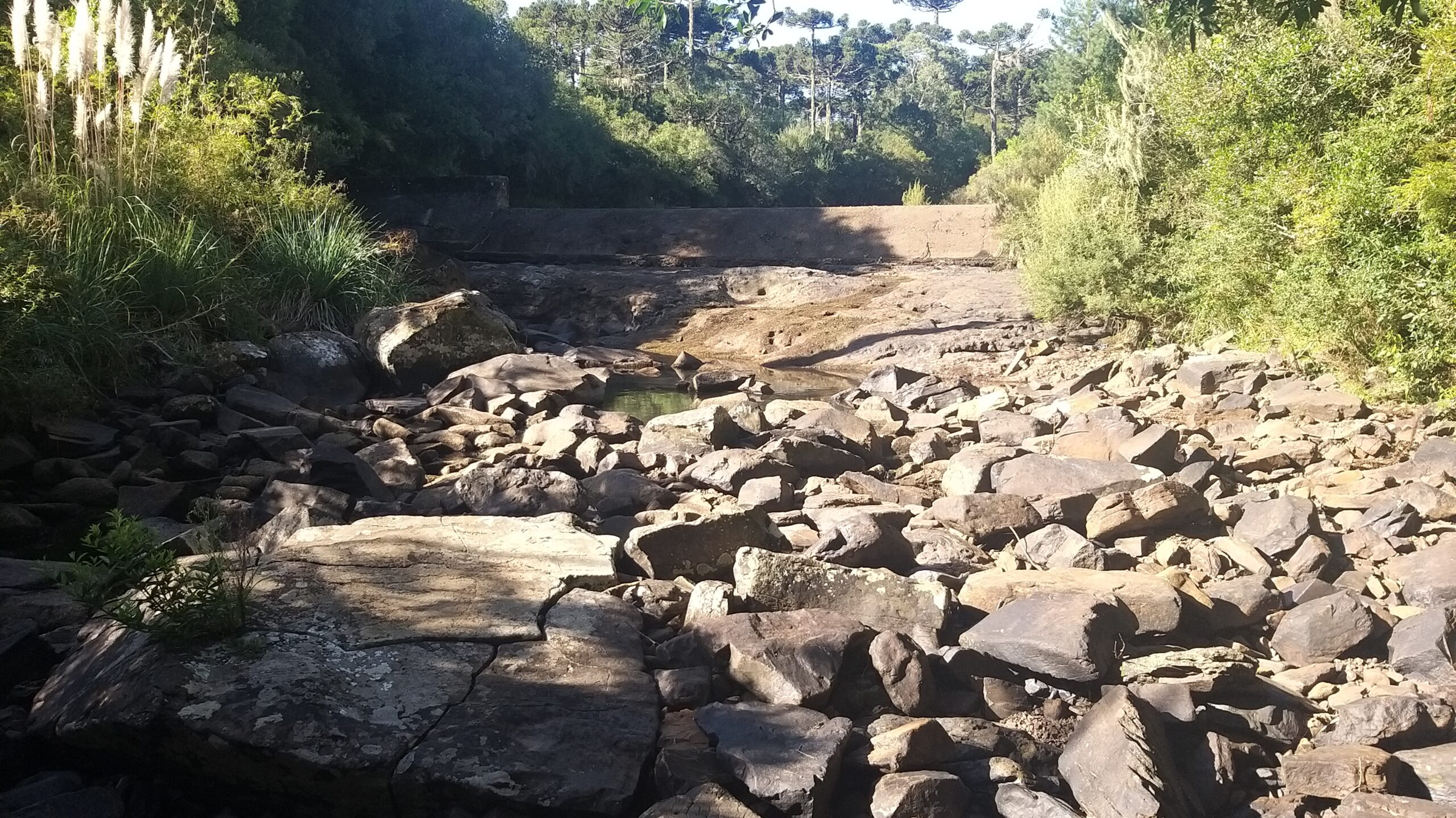 Você está visualizando atualmente Estiagem pode acarretar em colapso no abastecimento de água em São Joaquim e na Serra