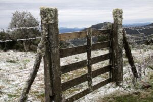 Leia mais sobre o artigo Epagri/Ciram alerta: Chuva, frio intenso e possibilidade de neve