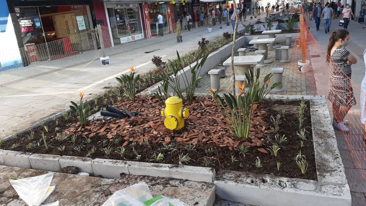 Leia mais sobre o artigo Paisagismo deixará o novo calçadão Túlio Fiúza de Carvalho ainda mais bonito