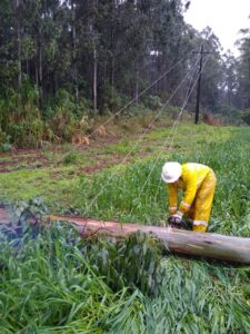 Leia mais sobre o artigo Prefeitos cobram da Celesc mais agilidade no restabelecimento de energia