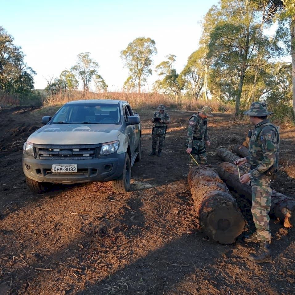 Você está visualizando atualmente PMA registra crime ambiental na região