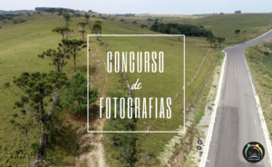 Leia mais sobre o artigo Concurso Virtual de Fotografias continua recebendo imagens