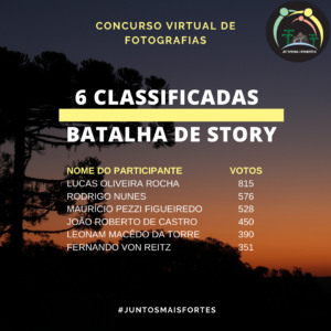 Leia mais sobre o artigo Em 24 horas, mais de 4 mil votos definiram as seis semifinalistas do Concurso de Fotografias