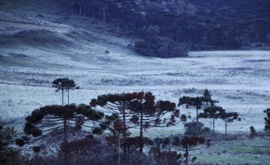 Você está visualizando atualmente Frio intenso é previsto para os próximos 15 dias em Santa Catarina