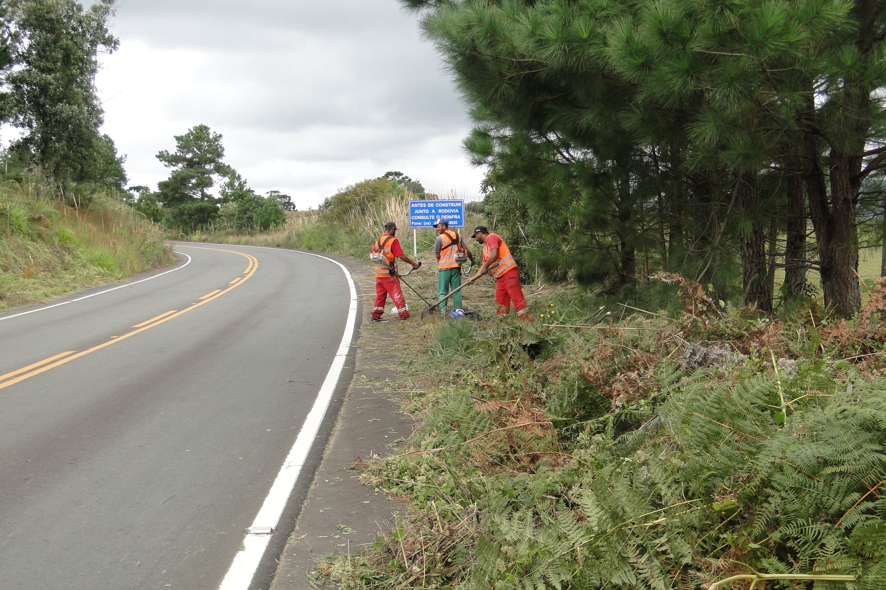 Você está visualizando atualmente Limpeza na Rodovia do Vime