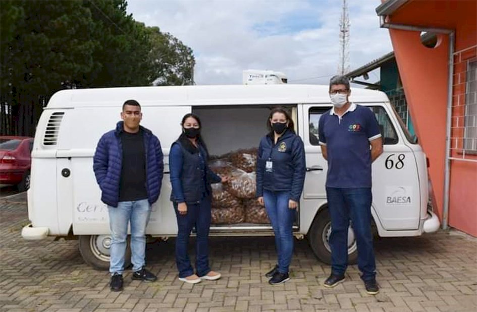 Leia mais sobre o artigo Secretaria Municipal de Assistência Social de Cerro Negro recebe doação de Kiwis