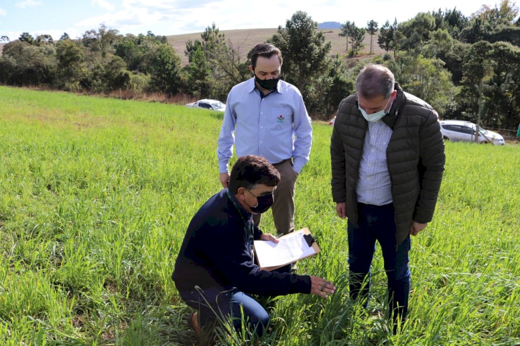 Você está visualizando atualmente Serra é a nova aposta para cereais de inverno