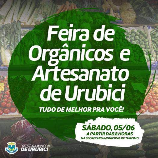 Leia mais sobre o artigo Feira de Orgânicos e Artesanato de Urubici