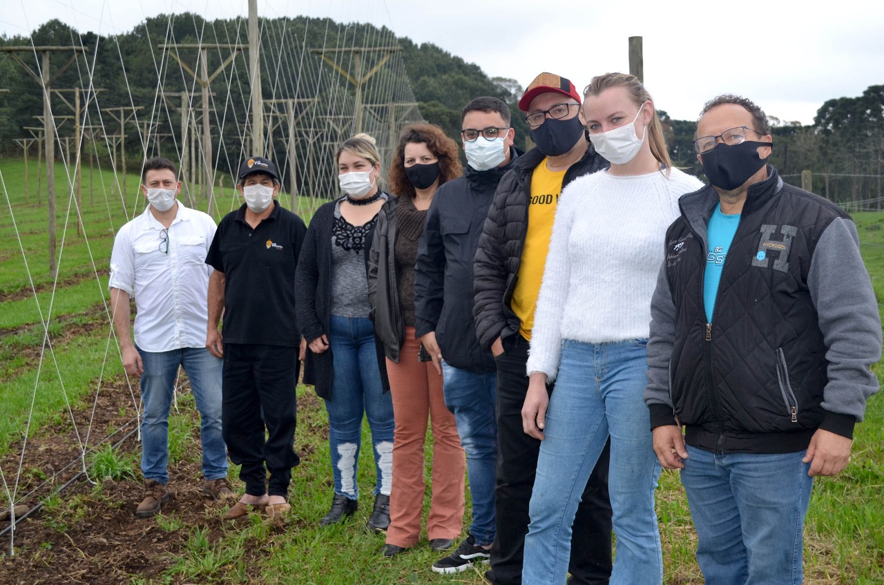 Você está visualizando atualmente Propriedade produtora de lúpulo passa por Teste de Experiência em Palmeira