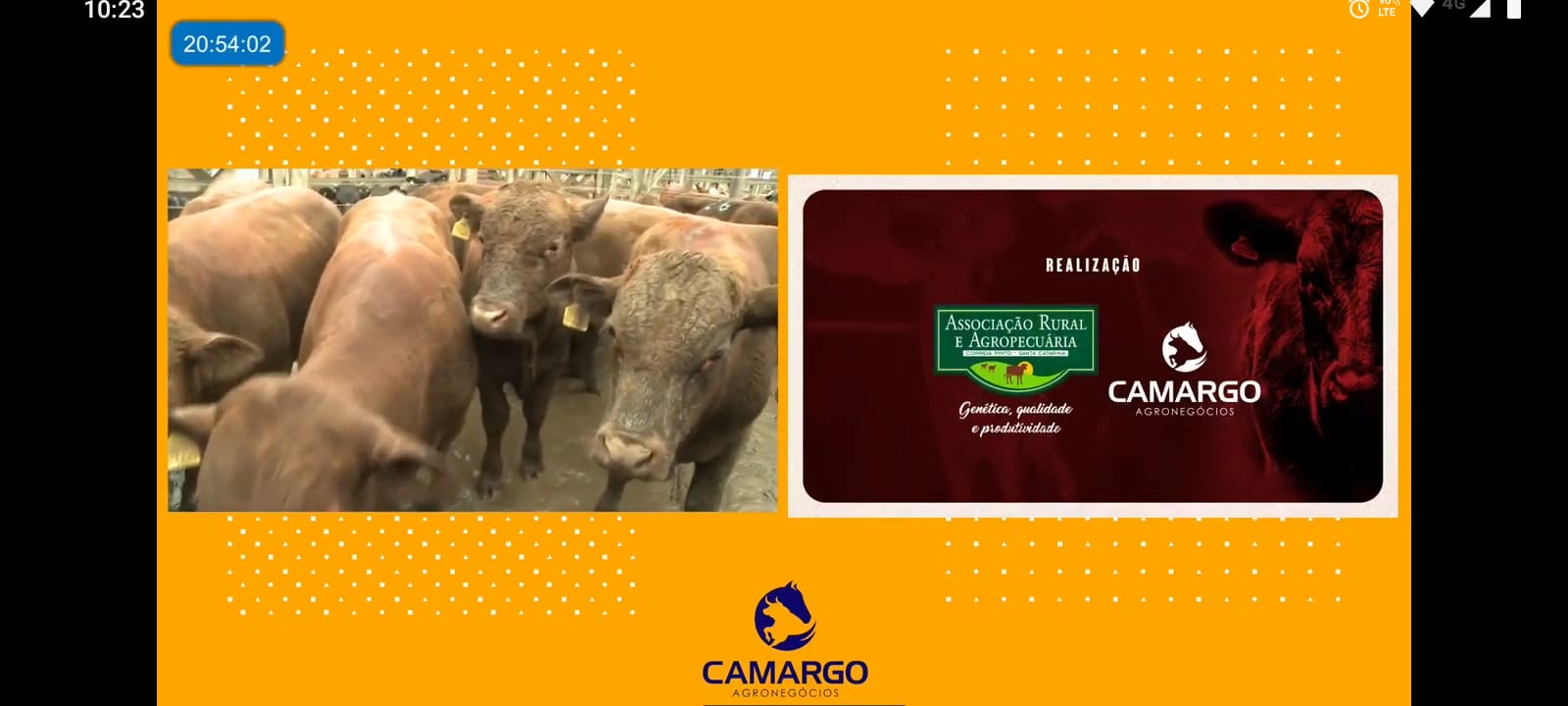 Leia mais sobre o artigo R$ 2 MILHÕES EM NEGÓCIOS NA IV FEIRA DO GADO GERAL DE CORREIA PINTO