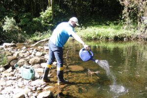 Leia mais sobre o artigo Prefeitura de Bocaina do Sul realiza controle do Borrachudo