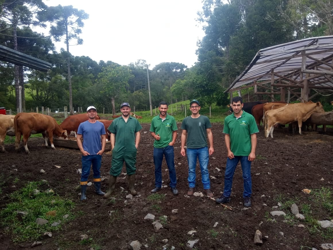 Você está visualizando atualmente Inseminação Artificial por tempo fixo, aplicada em Bocaina do Sul