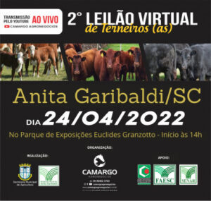 Leia mais sobre o artigo Leilão Virtual de Terneiros e Terneiras será no dia 24/04 em Anita Garibaldi