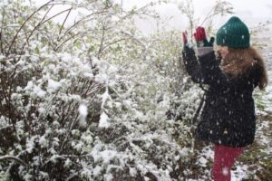 Leia mais sobre o artigo Espetáculo do Inverno em São Joaquim – Concurso fotográfico irá premiar a melhor foto do frio em São Joaquim