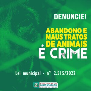 Leia mais sobre o artigo Maus tratos e abandonar animais é crime e contribui para o aumento de cães soltos nas ruas