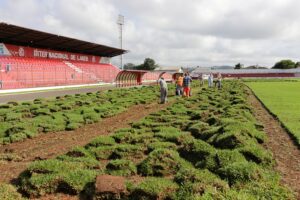 Leia mais sobre o artigo Prefeitura trabalha na substituição do gramado do Estádio Municipal Vidal Ramos Júnior