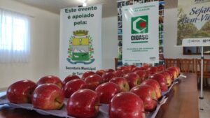 Leia mais sobre o artigo Jurados avaliam frutas concorrentes para o 1º concurso de qualidade da Maçã Fuji  