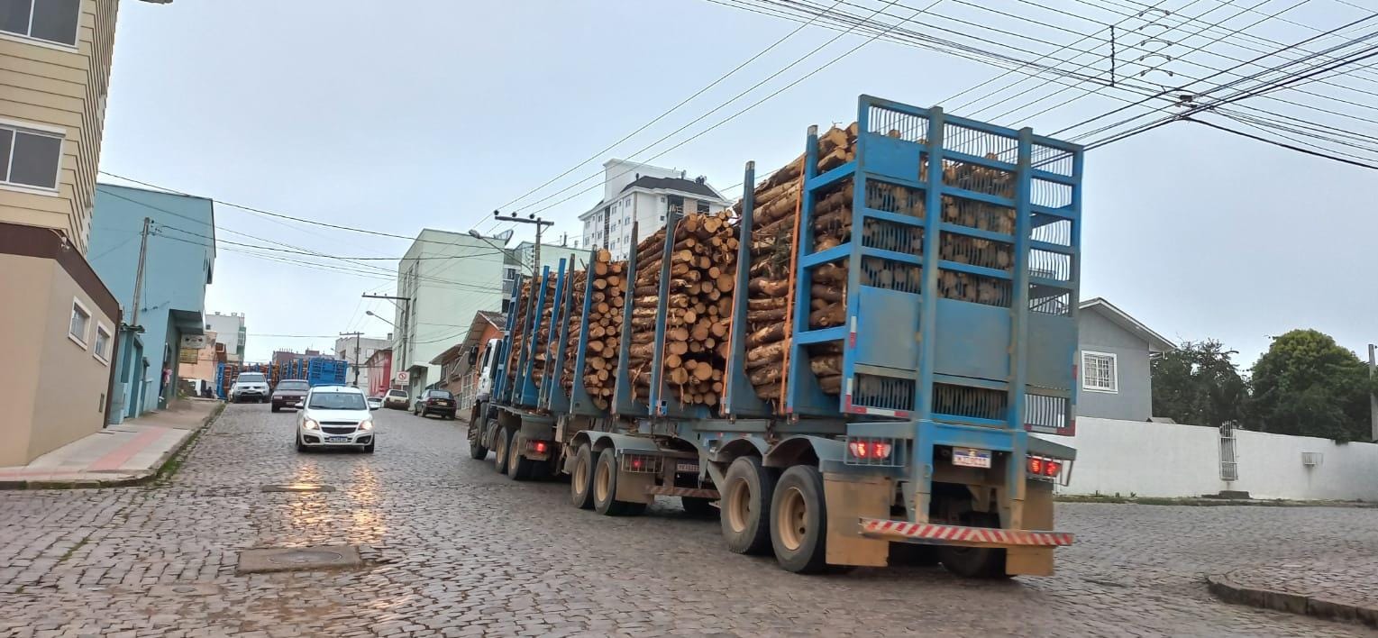 Leia mais sobre o artigo Decreto estabelece Restrições Temporárias para o Trânsito de Veículos Pesados com Pinus em São Joaquim