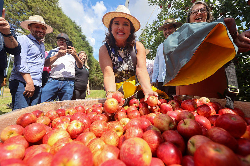 Você está visualizando atualmente Governadora em exercício participa da abertura da safra nacional da maçã em São Joaquim