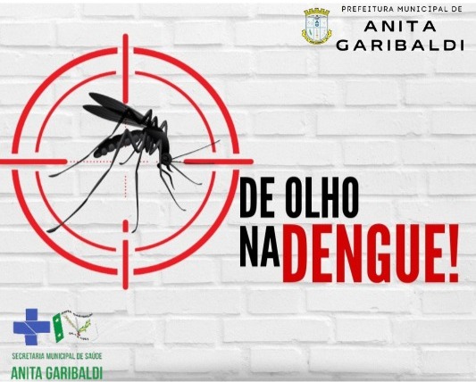 Leia mais sobre o artigo Com o decreto de emergência da dengue em Santa Catarina, ações são intensificadas no município
