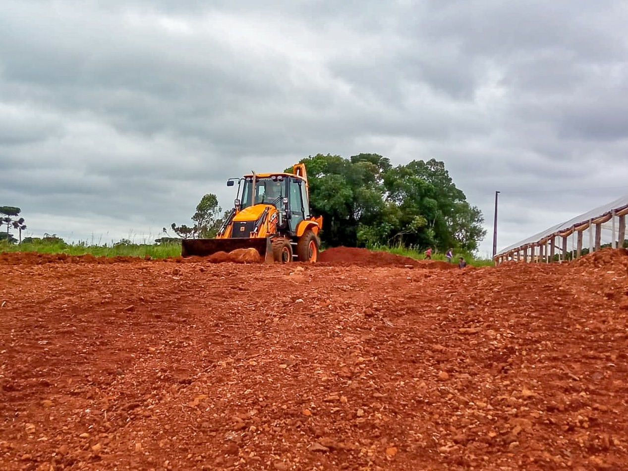 Você está visualizando atualmente Prefeitura incentiva a produção de morango como forma de renda em Campo Belo do sul