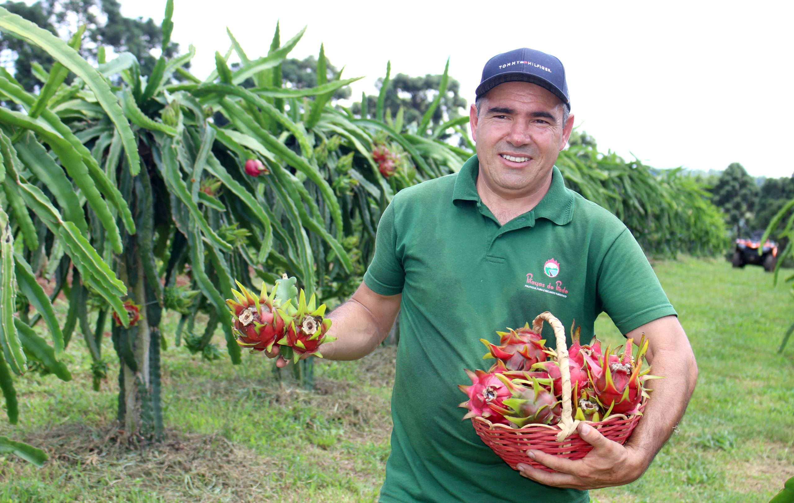 Leia mais sobre o artigo Pitaya: nasce um bom negócio na Serra Catarinense