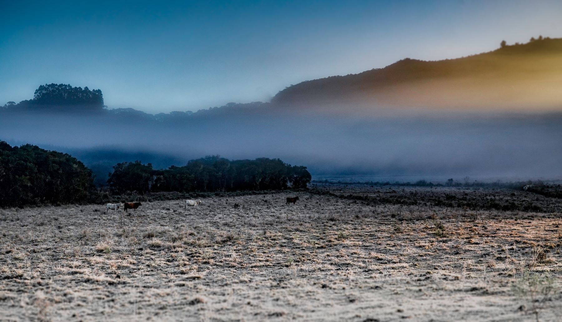 Você está visualizando atualmente Previsão do tempo: Santa Catarina pode ter neve e chuva congelante entre a noite desta terça e madrugada de quarta-feira