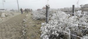 Leia mais sobre o artigo Urupema registra baixas temperaturas no Morro das Antenas