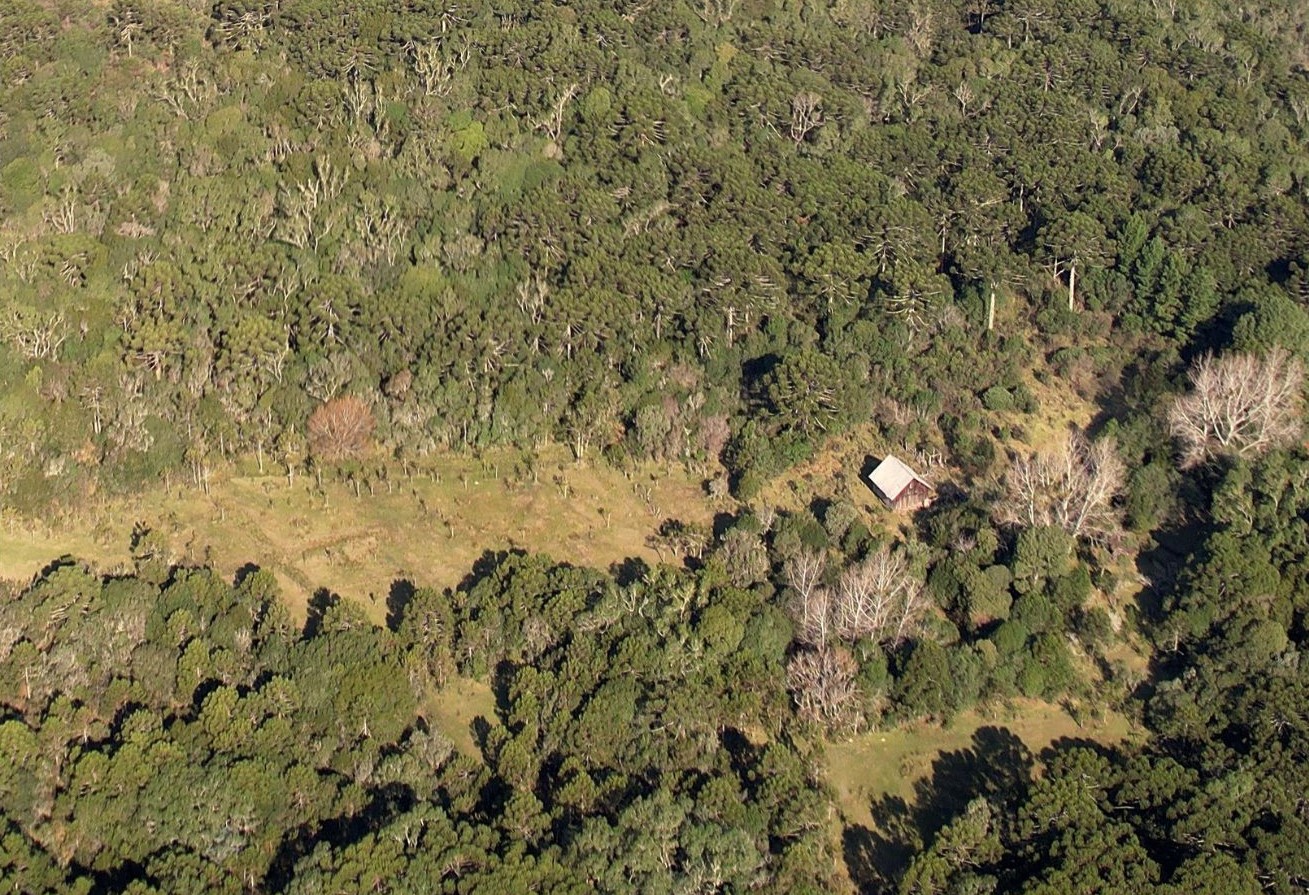 Você está visualizando atualmente Documentário “Quem Colhe o Pinhão?” será lançado nessa quarta-feira na Amures