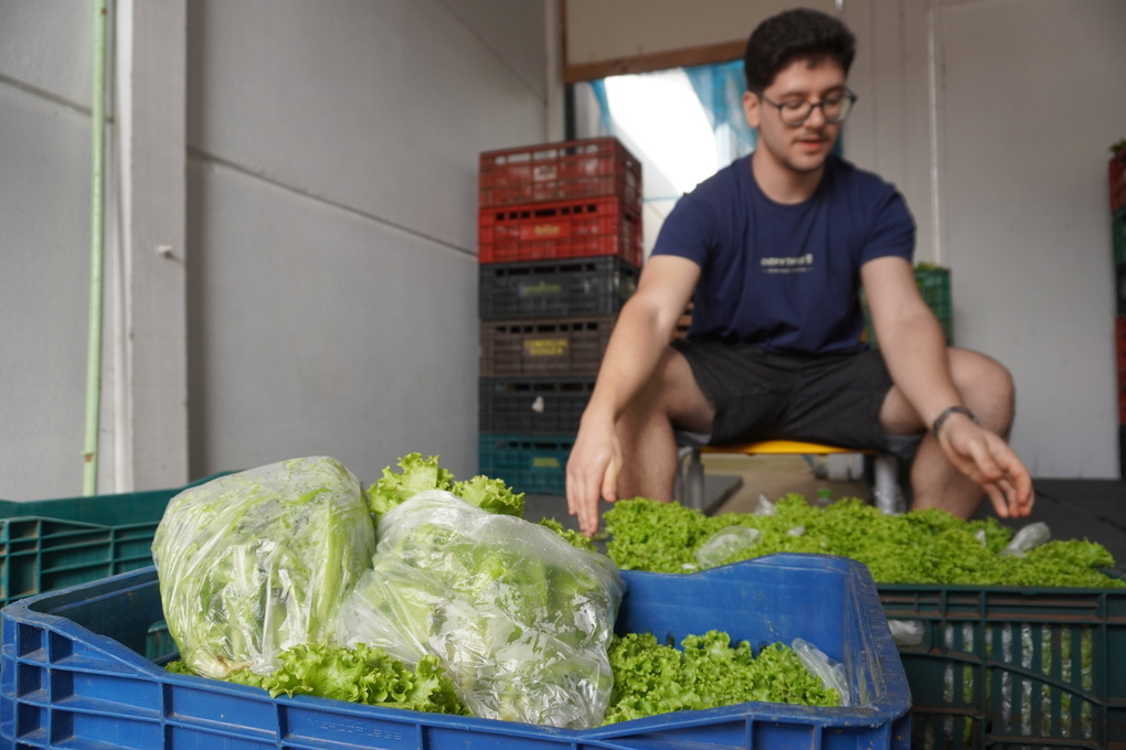 Você está visualizando atualmente Agrilages fornecerá produtos da Agricultura Familiar para alimentação escolar